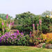 Small Oxfordshire Country Garden