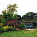 Small Oxfordshire Country Garden