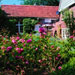 Rose and Herb Garden